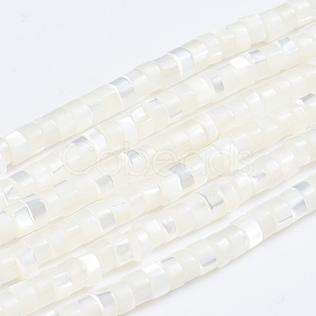 Natural Trochid Shell/Trochus Shell Beads Strands X-SSHEL-L016-13A-1