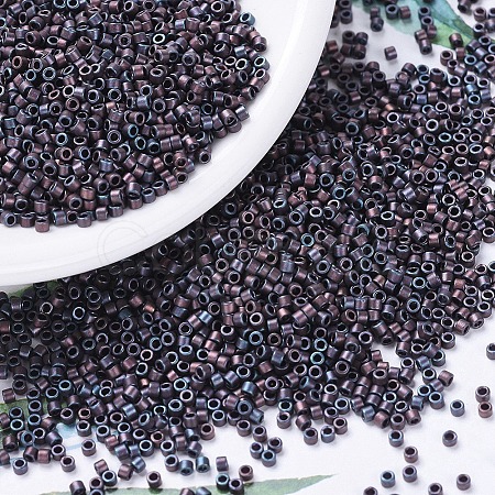 MIYUKI Delica Beads Small X-SEED-J020-DBS0312-1