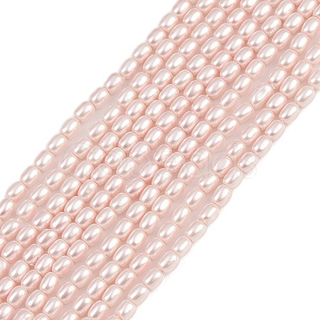 Electroplated Shell Pearl Beads Strands BSHE-H113-06A-07-1