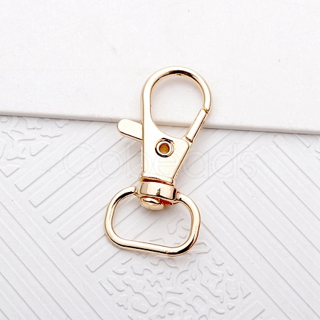 Alloy Swivel Lobster Claw Clasps LS-PW-WG29257-02-1