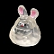 Luminous Resin Cute Little Rabbit Ornaments, Glow in the Dark, Micro Landscape Decoration, Clear, 25x22x19.5mm