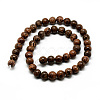 Natural Starburst Jasper Beads Strands G-Q462-51-6mm-3