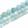 Natural Amazonite Beads Strands G-S332-6mm-009-2