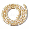 Natural Trochid Shell/Trochus Shell Beads Strands SSHEL-S266-019B-01-2