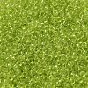 Transparent Colours Glass Round Seed Beads SEED-B001-06A-11-3