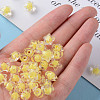 Transparent Acrylic Beads TACR-S152-01A-SS2105-5