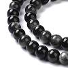 Natural Silver Obsidian Beads Strands G-D083-01D-3