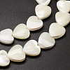 Natural Trochid Shell/Trochus Shell Beads Strands SSHEL-K012-01-A-3