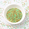 MIYUKI Delica Beads SEED-X0054-DB2066-3