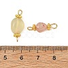 Natural Gemstone Beaded Connector Charms PALLOY-JF06057-3