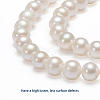 Natural Cultured Freshwater Pearl Beads Strands PEAR-E002-25-01-2