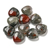 Natural African Bloodstone Beads G-P531-A21-01-1