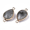 Natural Labradorite Links Connectors G-T131-49F-3
