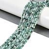 Natural Emerald Beads Strands G-P553-E04-02-6
