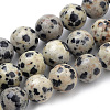 Natural Dalmatian Jasper Beads Strands G-S259-24-12mm-1