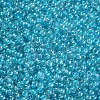 12/0 FGB Grade A Round Glass Seed Beads SEED-N001-E-314-2