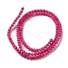 Natural Freshwater Shell Beads Strands SHEL-H003-03F-2