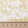 MIYUKI Round Rocailles Beads X-SEED-G009-RR0132L-4