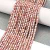 Natural Argentina Rhodonite Beads Strands LS-G-Z057-A01-01-2