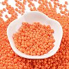 Baking Paint Glass Seed Beads SEED-H002-I-A512-2