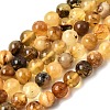 Natural Amber Beads Strands G-K376-H01-01-2