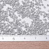 MIYUKI Delica Beads Small SEED-X0054-DBS0252-4