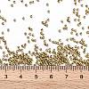 TOHO Round Seed Beads X-SEED-TR15-0557-3