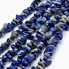 Natural Lapis Lazuli Beads Strands G-P332-12-1