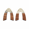 Transparent Resin & Walnut Wood Pendants RESI-N025-029-A02-1