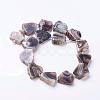 Natural Botswana Agate Beads Strands G-F506-10-2