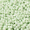 Opaque Colours Luster Glass Seed Beads SEED-B001-01A-10-3