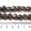 Natural Glaucophane Beads Strands G-R190-10mm-36-5