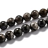 Natural Glaucophane Beads Strands G-O199-01B-1