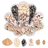6 Styles Natural Shell Beads Display Ornaments SHEL-PH0001-46-1