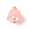 Transparent Acrylic Charms PALLOY-JF01603-01-3