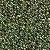 TOHO 11/0 Round Beads X-SEED-TR11-1007-2
