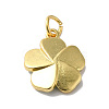 Rack Plating Brass Enamel Charms KK-O142-56G-01-2
