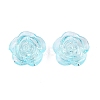 Transparent Acrylic Beads OACR-N137-32B-1