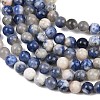 Natural Sodalite Beads Strands G-S279-10-8mm-7