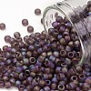 TOHO 8/0 Round Beads X-SEED-TR08-0166BF-1