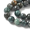 Natural Dioptase Beads Strands X-G-D302-02-8mm-4