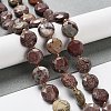 Natural America Picture Jasper Beads Strands G-NH0004-035-2