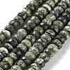 Natural Silver Line Jasper Beads Strands G-Z042-B01-03-1