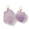 Raw Rough Natural Amethyst Copper Wire Wrapped Pendants PALLOY-JF02787-01-1