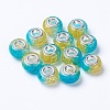 Two Tone Resin European Beads RPDL-K002-C06-2
