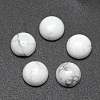 Synthetic Howlite Cabochons G-E492-H-12-1