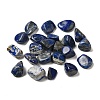 Natural Lapis Lazuli Beads G-O029-08V-1