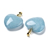 Dyed White Jade Jade Pendants G-G956-B79-G-2