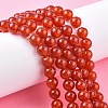 Natural Carnelian Beads Strands G-C076-8mm-2A-6