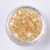 6/0 Glass Seed Beads SEED-S027-06B-01-2